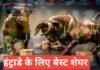 intraday ke liye best share 2026 : आज कौन सा शेयर ट्रेड करें?